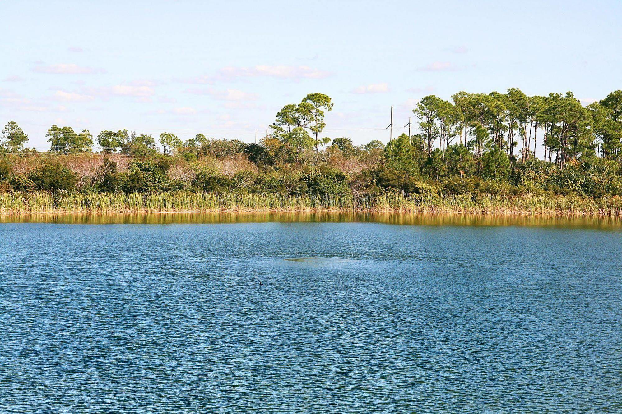 Hampton Inn Port Charlotte Exteriér fotografie